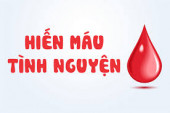 (ảnh minh họa - Nguồn internet)