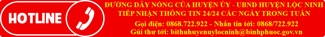 Đường dây nóng