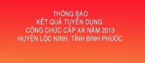 Thông báo kết quả tuyển dụng công chức cấp xã năm 2013