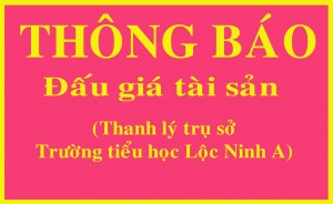 Thông báo bán đấu giá thanh lý tài sản “Trụ sở Trường Tiểu học Lộc Ninh A