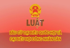 Đề cương tuyên truyền Ngày pháp luật tháng 2/0216  Giới thiệu Luật Bầu cử đại biểu Quốc hội và đại biểu Hội đồng nhân dân năm 2015